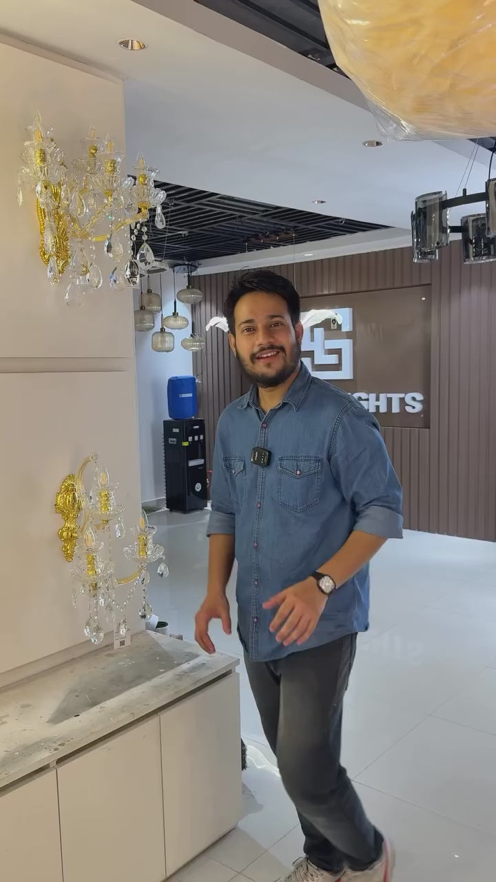 Sparkle Lotus Leaf Plates LED Wall Light