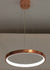 Elegant Ring Hanging Light - Sparc Lights