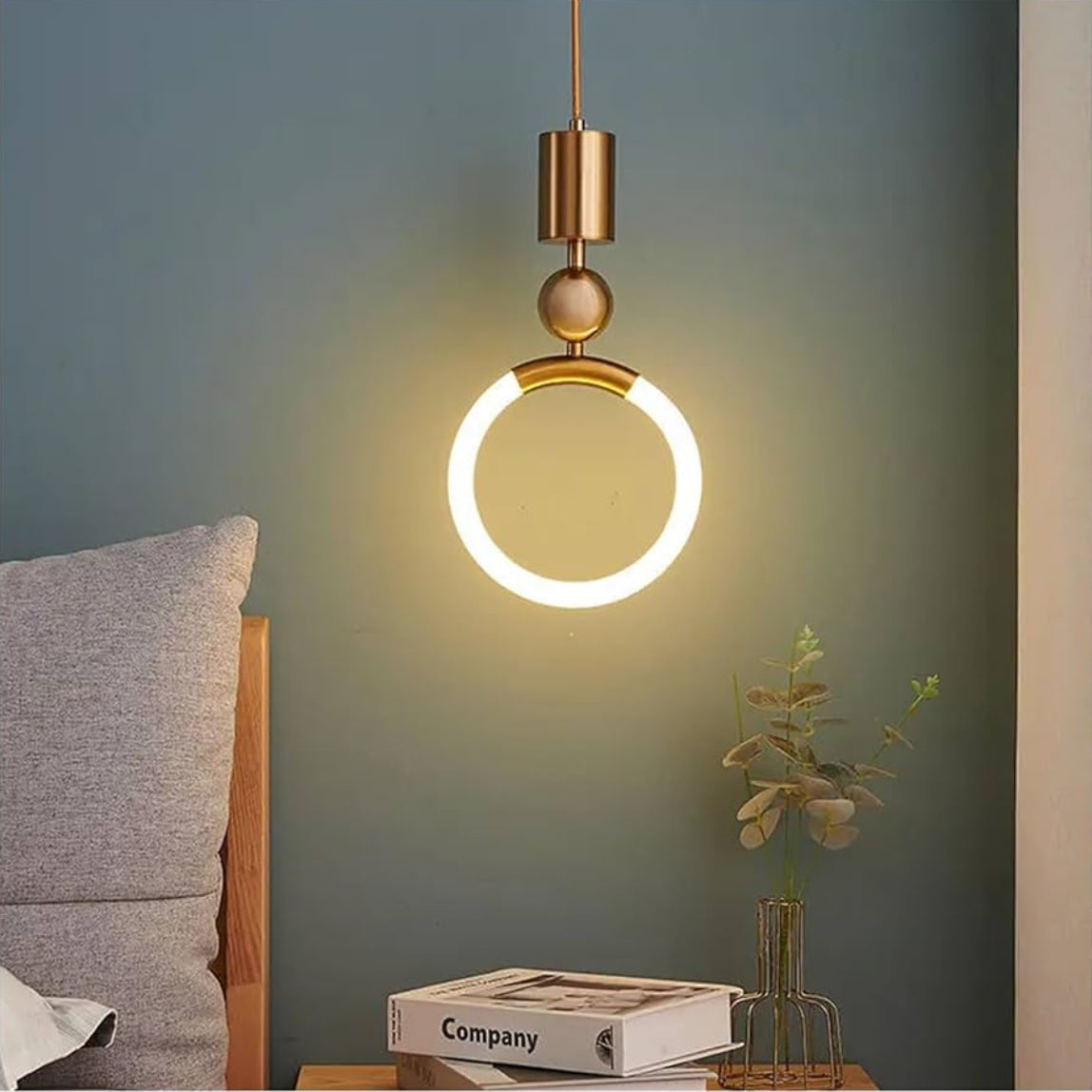 Modern pendant light fixture in a room with a gray wall, books, and a plant.